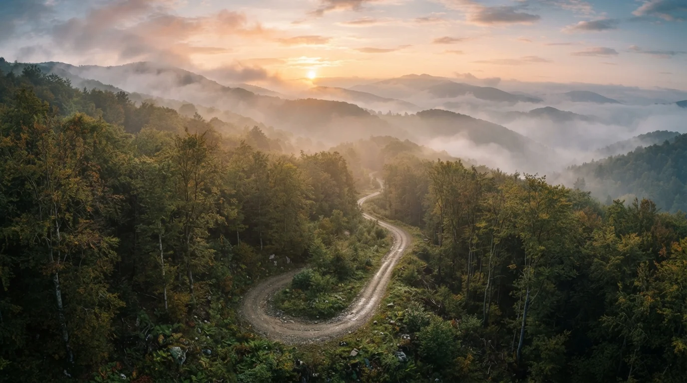 What Travelers Miss When They Underestimate the Carpathian Route